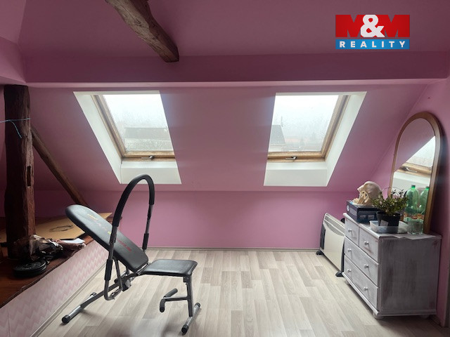 Prodej rodinného domu, 250 m², Řepeč - 12