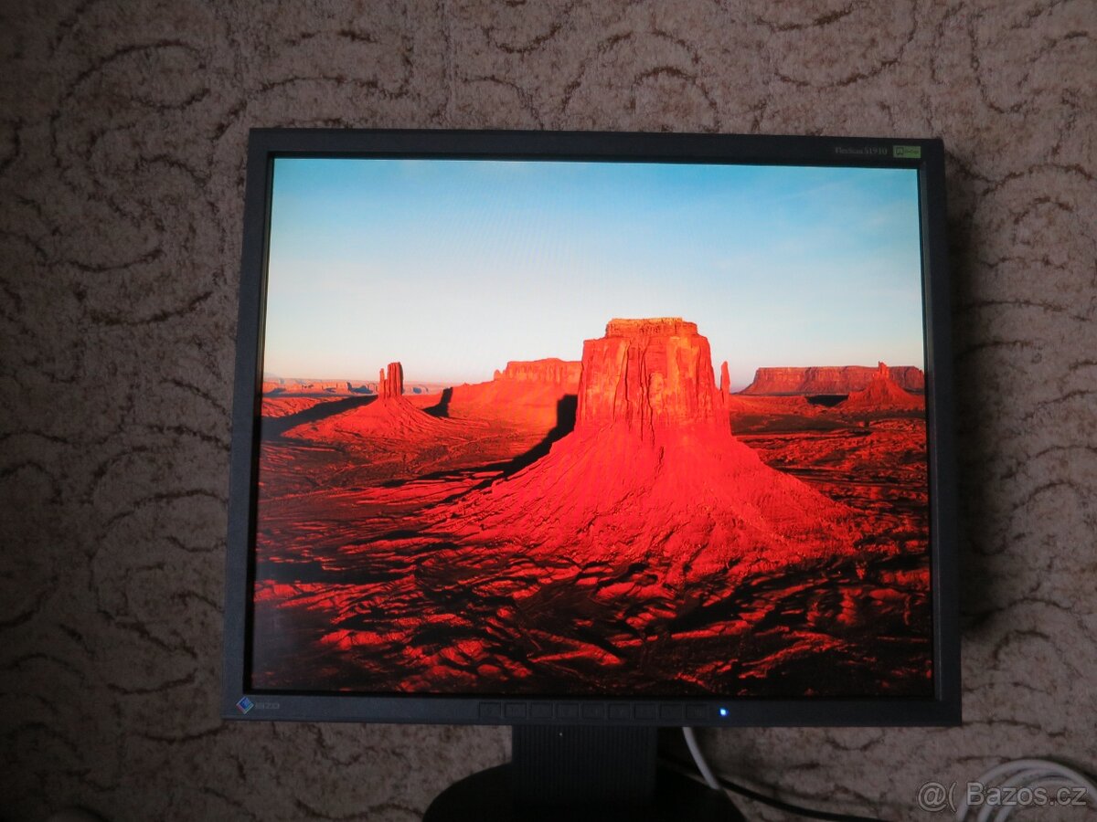 Monitor Eizo FlexScan S1910 - 12
