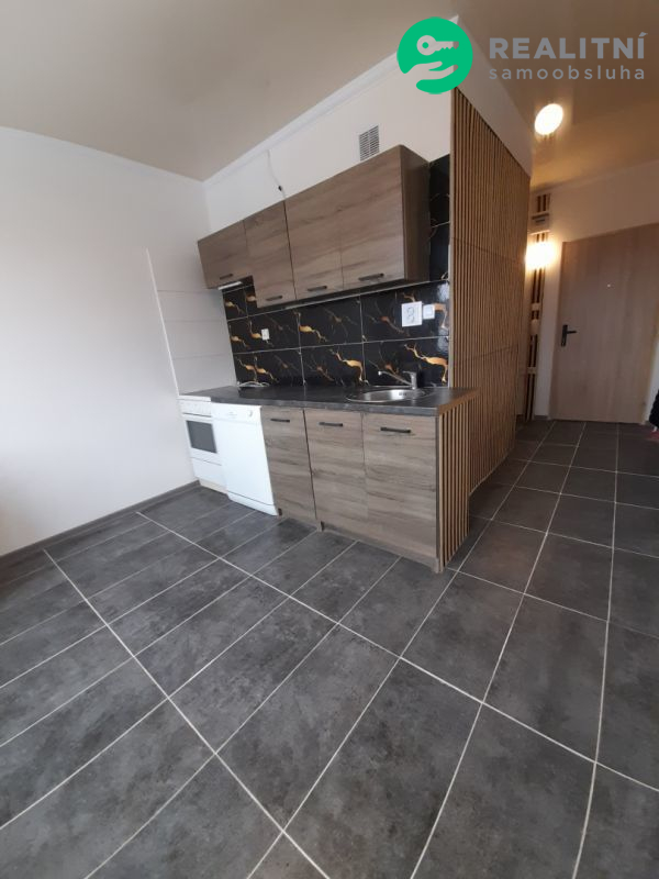 Prodám 1+1 v Lokti - 12