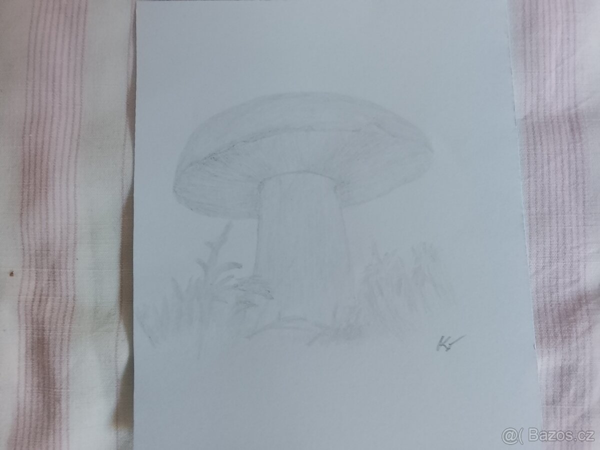 Obrázky obrazy kresby kreslení - 12