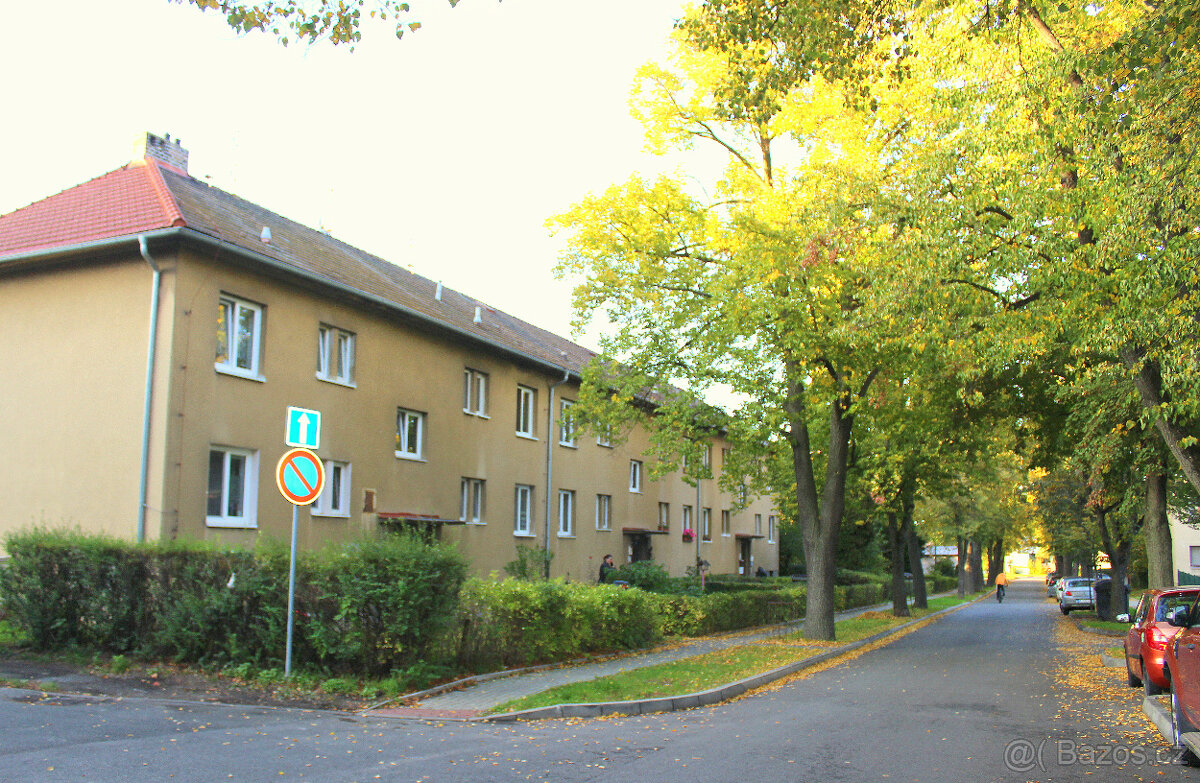 Byt 2+1 66m2 v OV - Čelákovice - 12