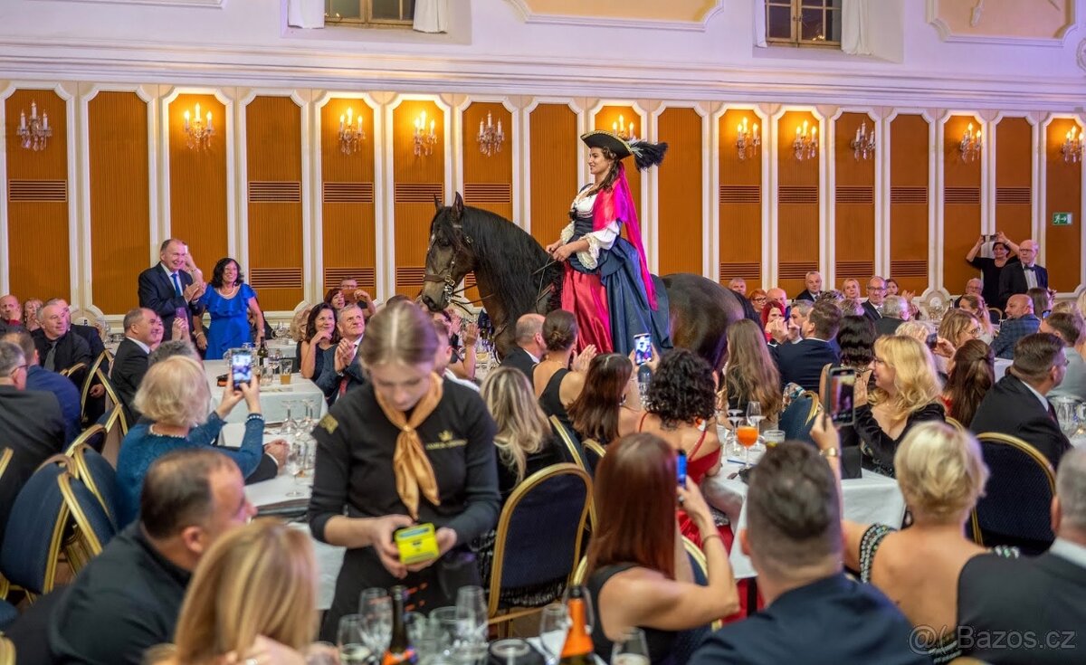 Lusitano hřebeček - 12