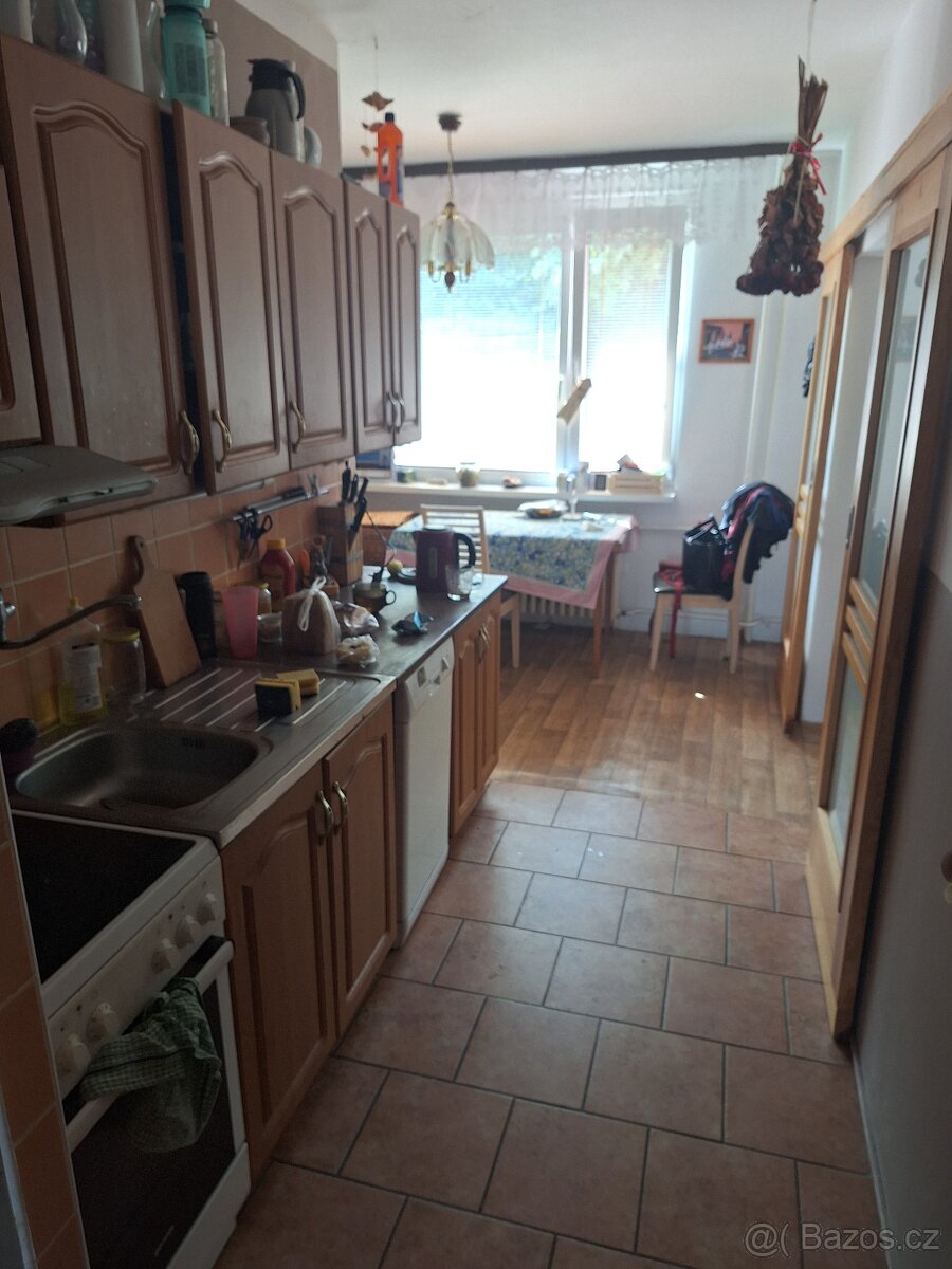 Hodkovice nad Mohelkou byt O.V. 4+1 - 12