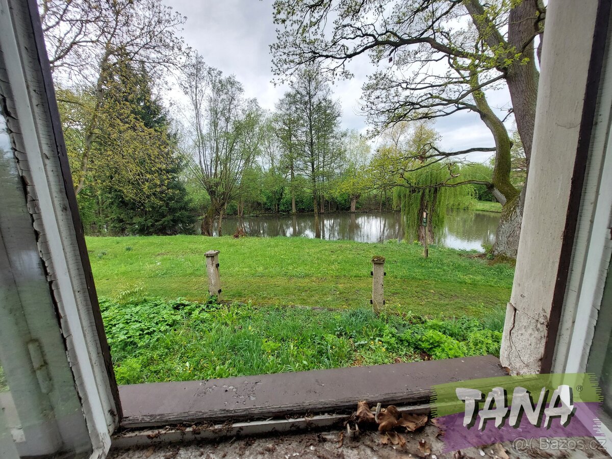 Prodej podílu o velikosti 1/2 - Zemědělská usedlost v Českém - 12