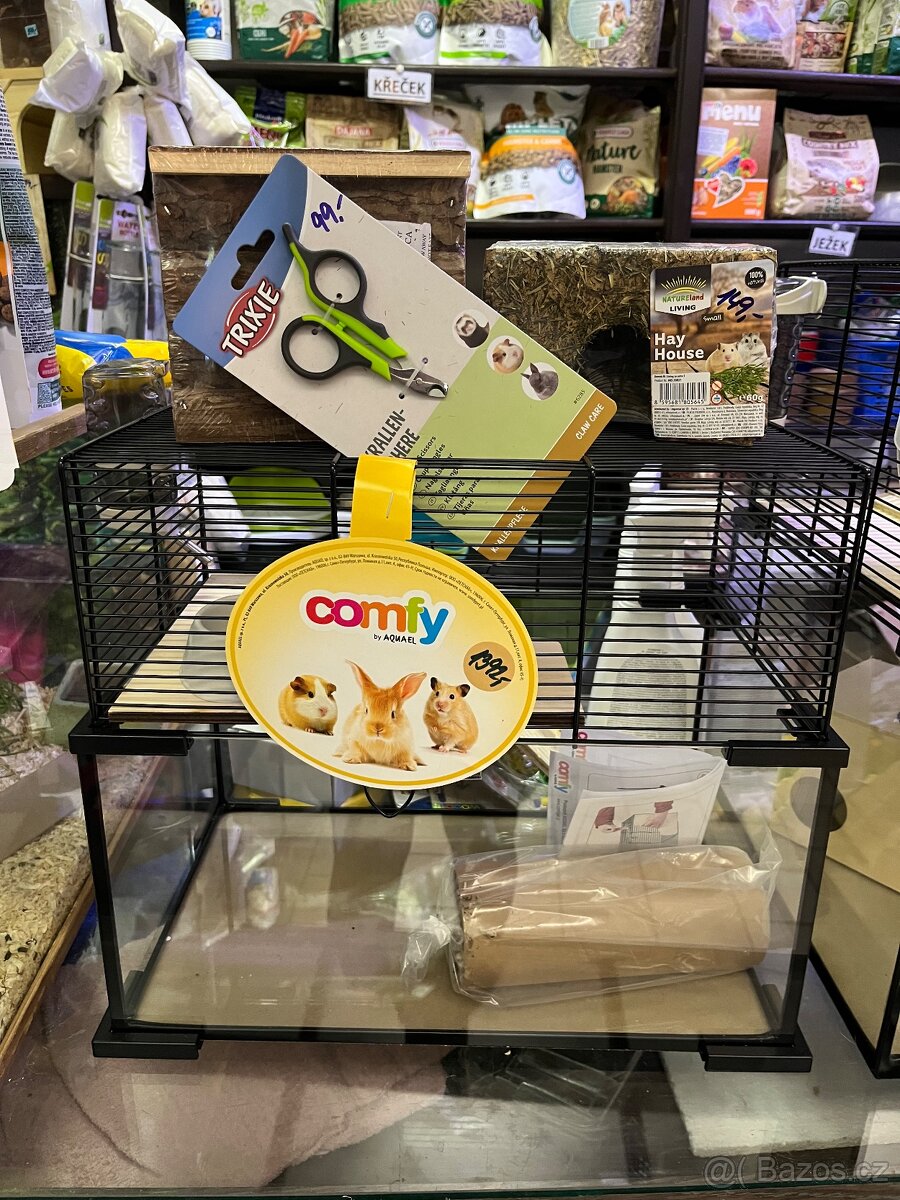 Křeček Syrský nar. 9.2.2026 - 12