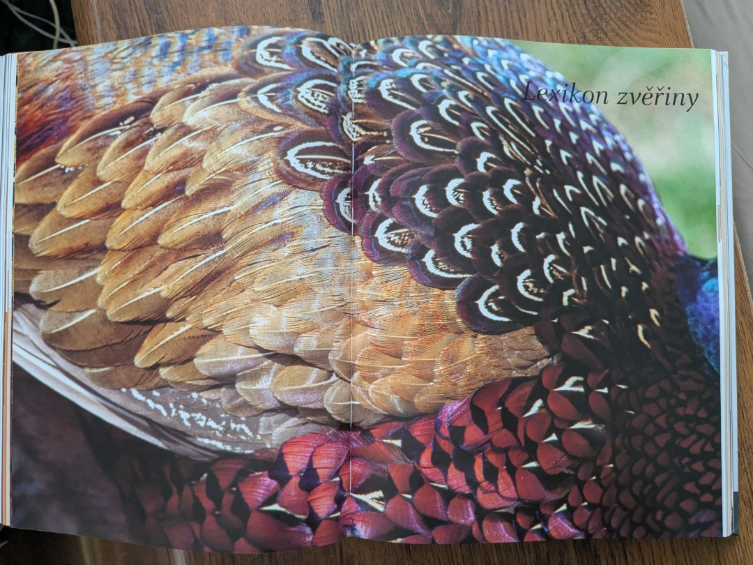 Bible šéfkuchaře - Maso a zvěřina - 12