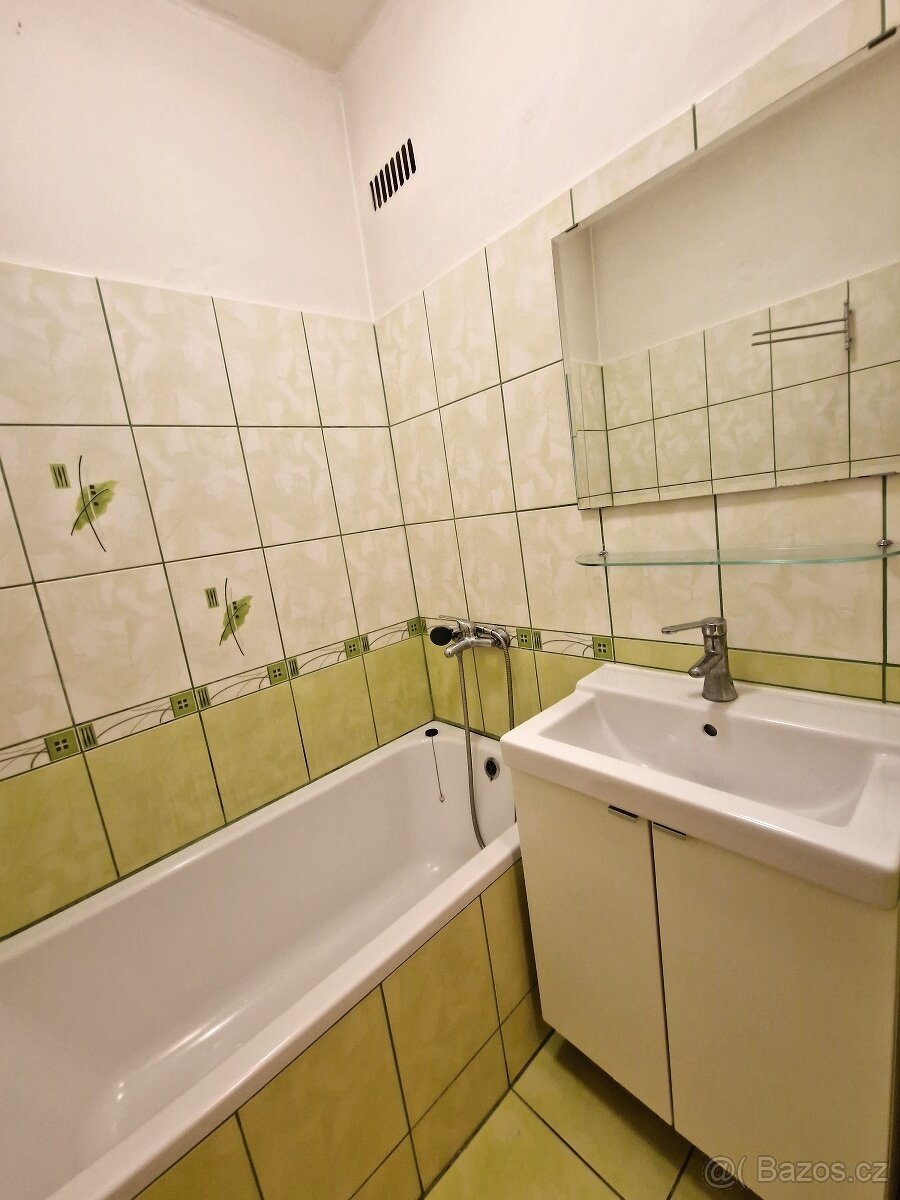 Pronájem 1+1 Ostrava centrum, Jindřichova ulice - 12