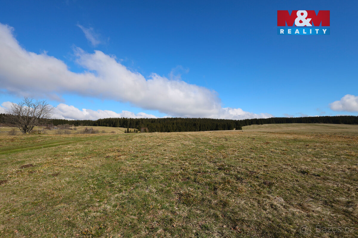 Prodej louky, 34345 m², Pernink - 12