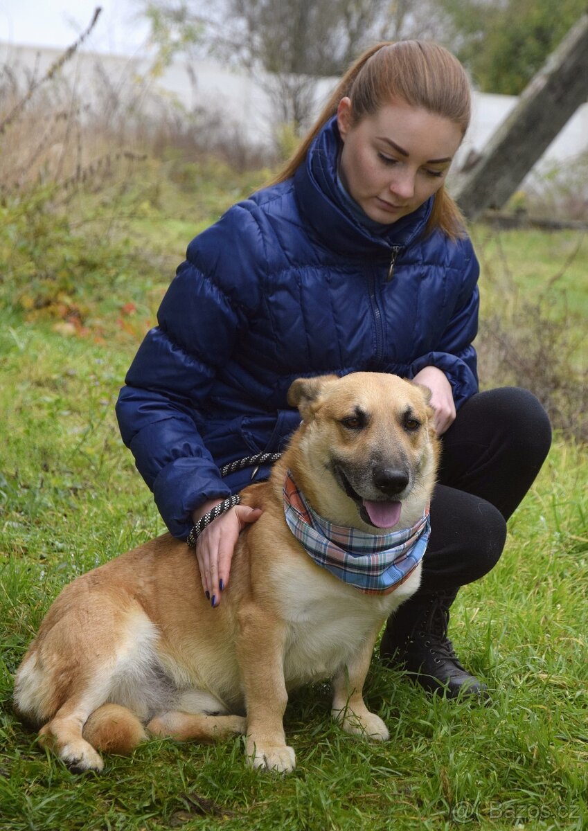 Odin hledá domov - 12