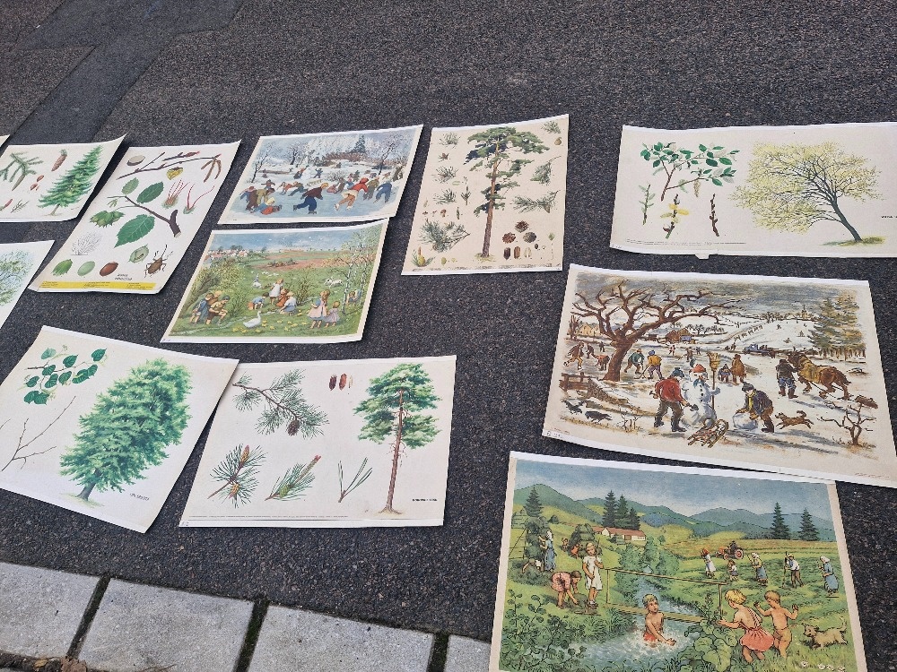 Stare skolni plakaty 50/60 leta - 12