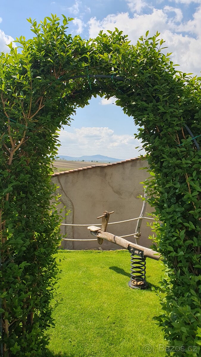 Daruj poukaz v krásných Hobitích apartmánech na jihu Moravy - 12