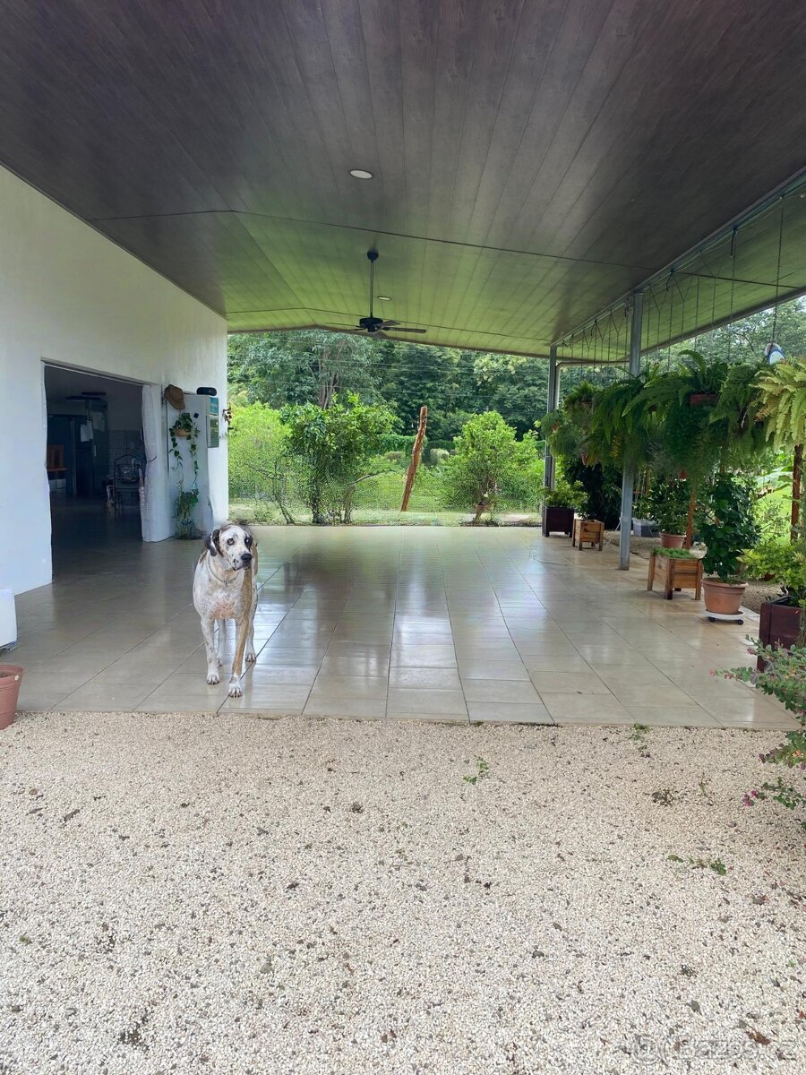 Dům s pozemkem Kostarika - 12