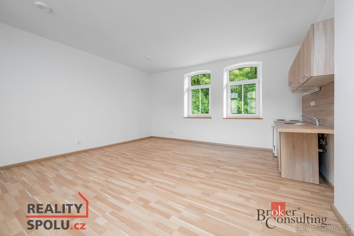 Prodej, komerční/ubytování, 554 m2, Prosečská 5048, Proseč n - 12