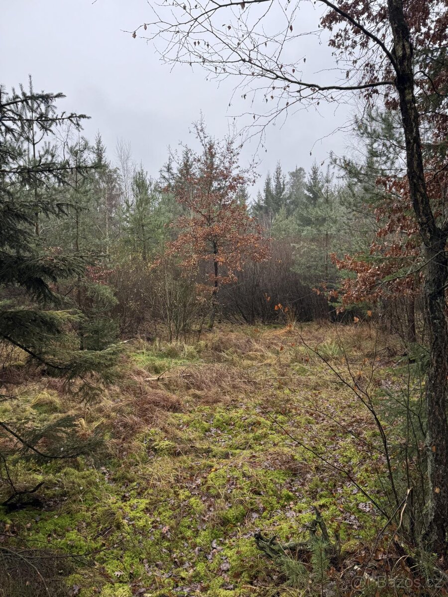 Prodám pozemky v k.ú. Veliny - 12