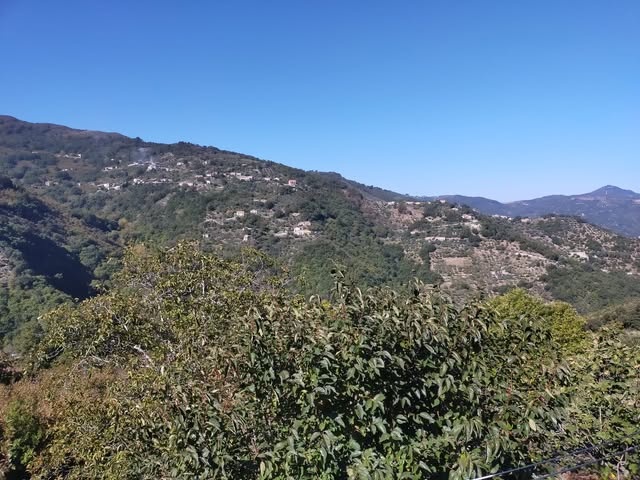 Sicílie, apartmán typu studio 34 m2, „Baia Blu“, Falcone - 12