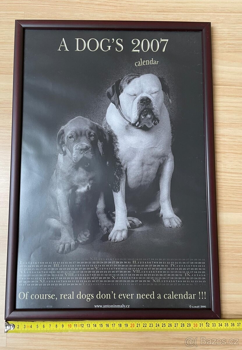 Foto Obrazy Antonín Malý s motivy psů 3 ks - 12