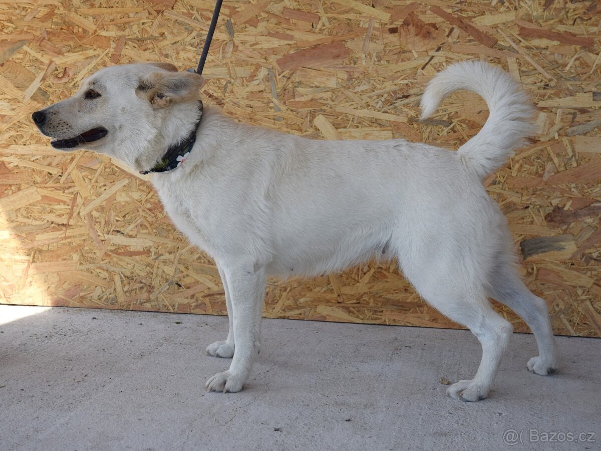 🌸 Zaira – veselá parťačka do života 🌸 - 12