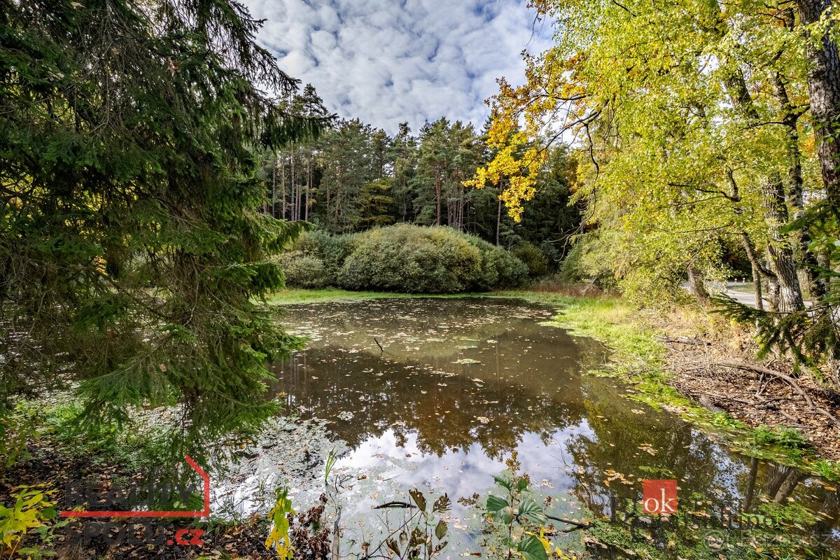 Prodej, pozemky/rybník, 64790 m2, Žíteč, Chlum u Třeboně, Ji - 12