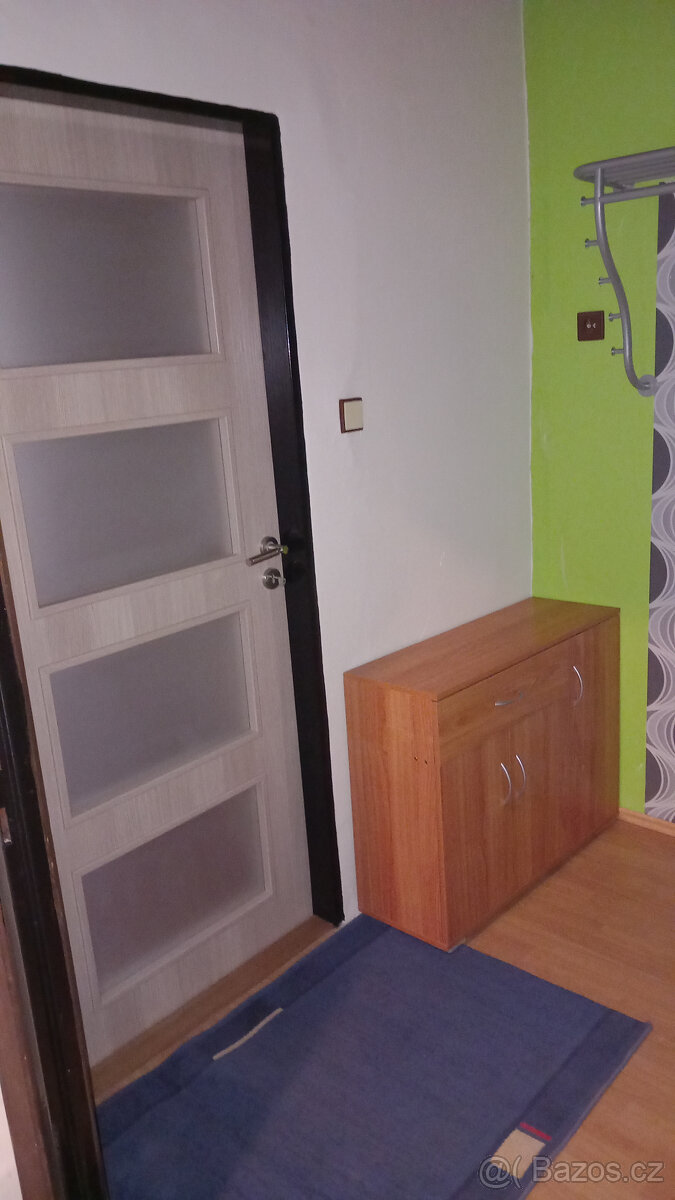 Pronájem bytu 2 + 1 - 12
