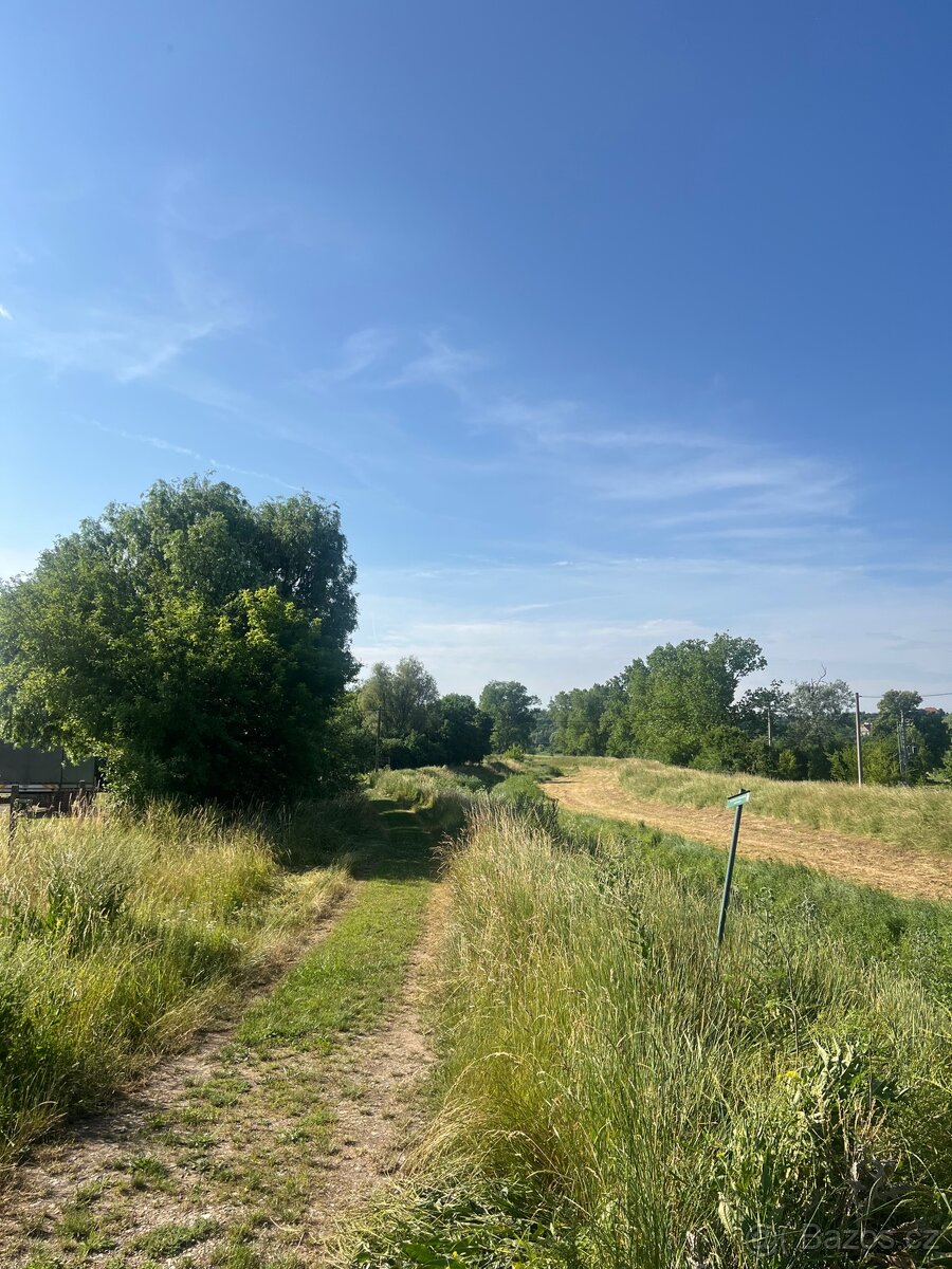 Prodej Zahrady Božice 1119m - 12