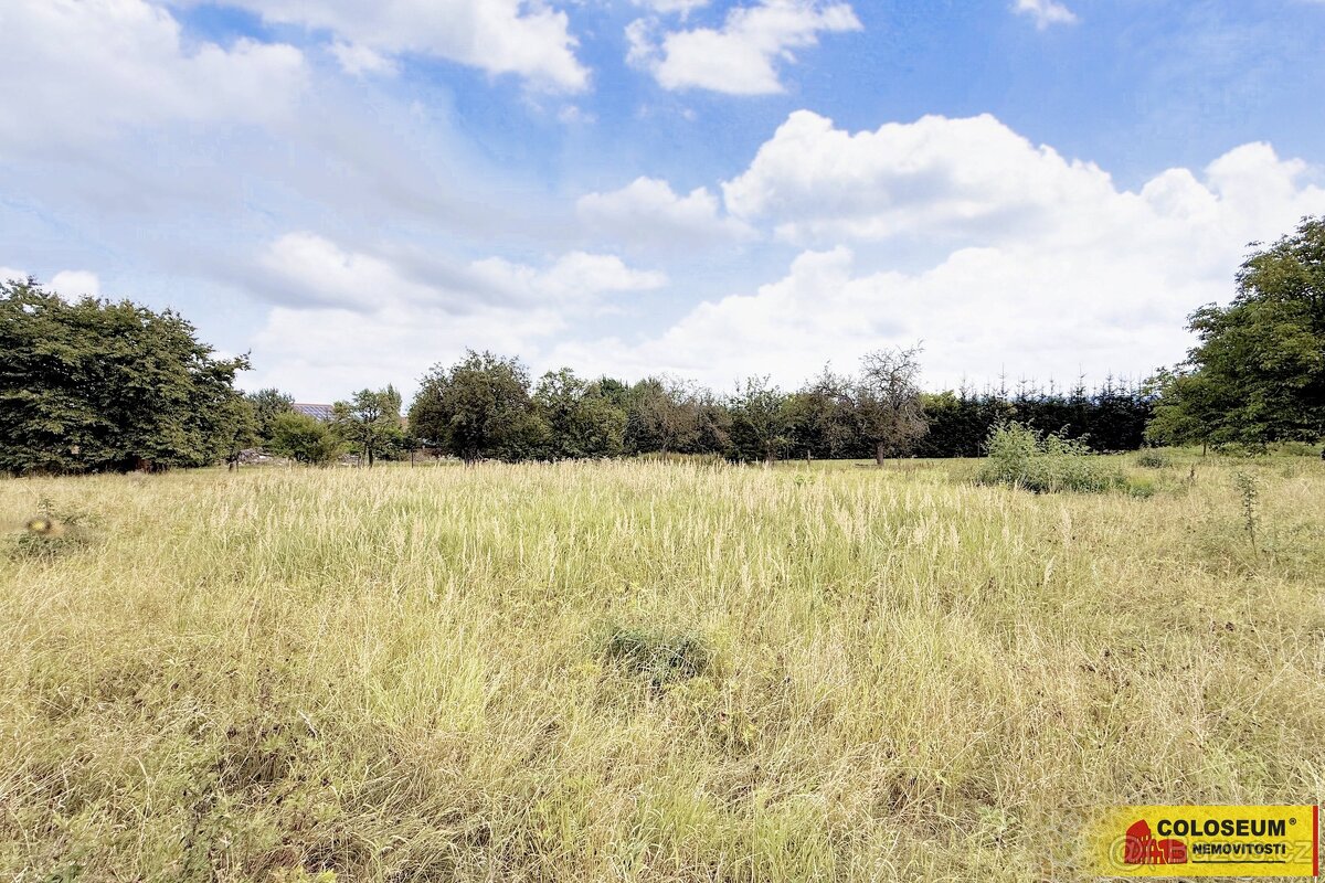 Sebranice - zahrada, příjezdová asfaltová komunikace, oploce - 12