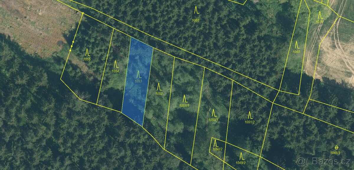 Prodám lesní pozemky v k.ú. Přeštěnice - 12