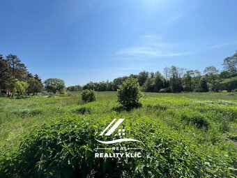 Prodej, Pozemky 15.602 m2 ,Vratimov __Horní Datyně - 12