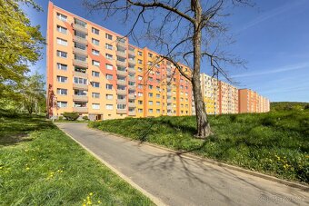 Pronájem byt, 1+1, 35 m2, Jirkov, ul. SNP, ev.č. 00477 - 12