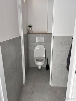 Nebytový prostor 30m2 - 12