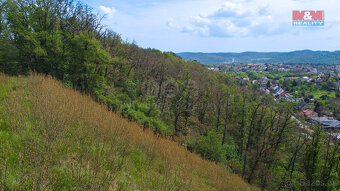 Prodej lesa, 5846 m², Vráž - 12