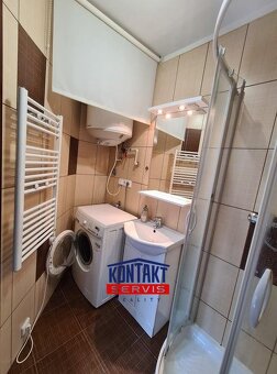 Pronájem atypického bytu 1+kk se sklípkem a venkovním poseze - 12