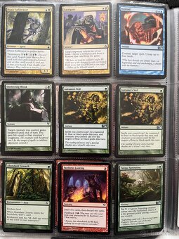 Karty Magic the Gathering - 12