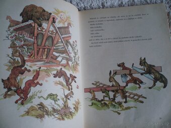kniha Krása nesmírná - 12