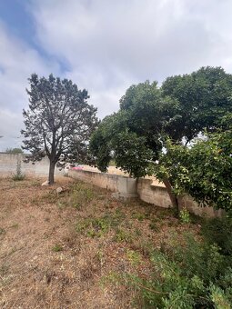 Pozemek 1100m2 500m od pláže🇮🇹 - 12