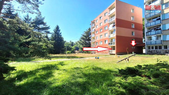 Prodej bytu 1+kk, 19 m², Nový Bor, ul. Sadová - 12