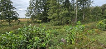 Prodej zahrady 3.737 m² v Borku - 12