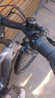 elektrokolo Bergamont E-Horizon Elite Belt Gent - 12