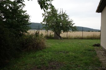 Zahrada - polosamota - 12