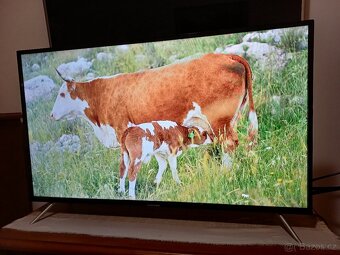 Android Smart TV Thomson 40FE5606-úhlopříčka 101cm - 12