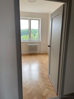 Pronajem bytu 3+1 - 12
