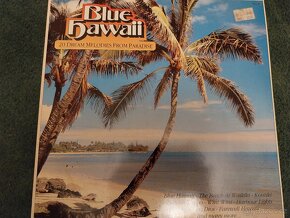 LP desky 12 ks dohodou viz.fotografie - 12