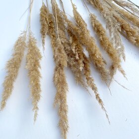 Sušené květiny - 12