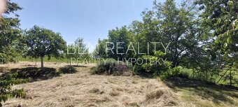 Pronájem zahrady pro rekreaci Pohořelice 1400 m2 s ovocnými  - 12