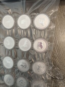 Lunární série I, Austrálie 2008–2019. 1oz. 300.000 ks - 12