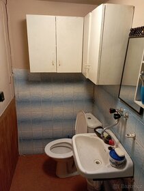 Pronájem domácí chaty - 12