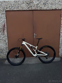 Stumpjumper EVO Pro T-Type - 12