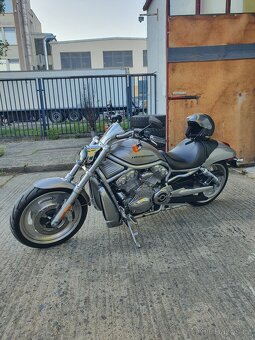 Harley Davidson V-ROD VRSCAW - 12