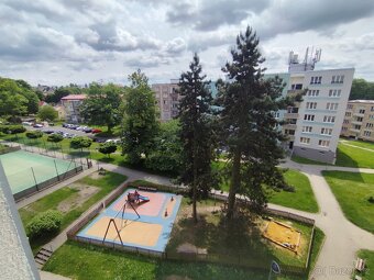 Pronájem bytu 1+1 v ulici Dlouhá, AŠ - 12