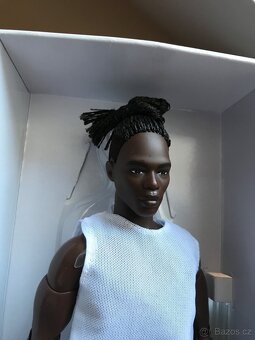 Panenka - Barbie Looks, Basic a Fashionistas - 12