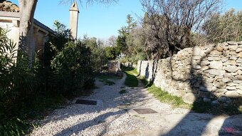 LAST MINUTE CHORVATSKO - ostrov LOSINJ - 12